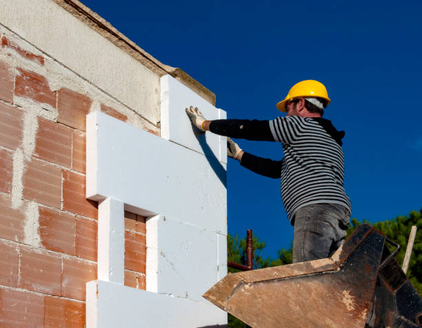 Best Attic Insulation Installation  in Coloma, MI