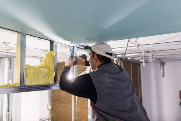 Insulation for New Construction in Coloma, MI