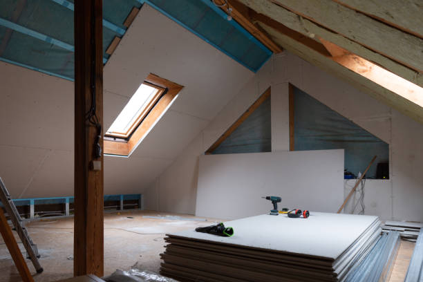 Best Insulation Removal  in Coloma, MI