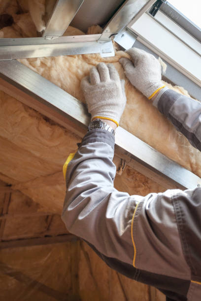 Best Home Insulation Services  in Coloma, MI