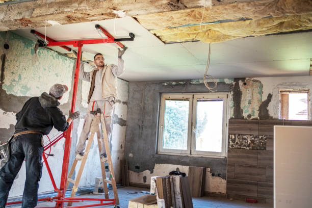 Best Insulation Inspection Services  in Coloma, MI