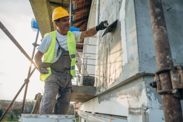 Best Attic Insulation Installation  in Coloma, MI