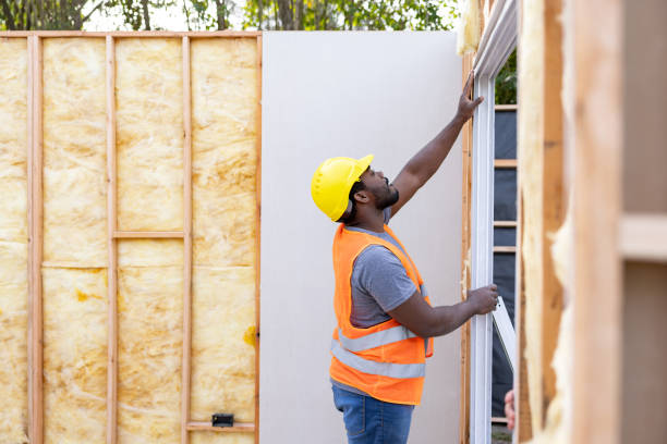 Best Professional Insulation Contractor  in Coloma, MI