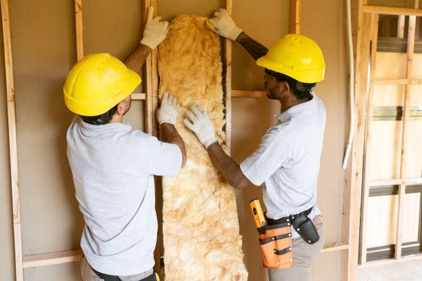 Best Commercial Insulation Contractor  in Coloma, MI