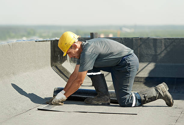 Best Insulation for Commercial Buildings  in Coloma, MI