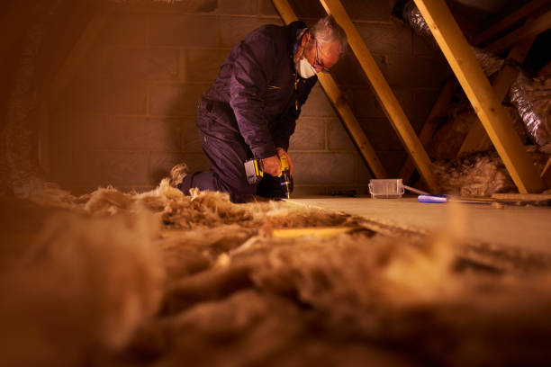 Best Blown-in Insulation  in Coloma, MI