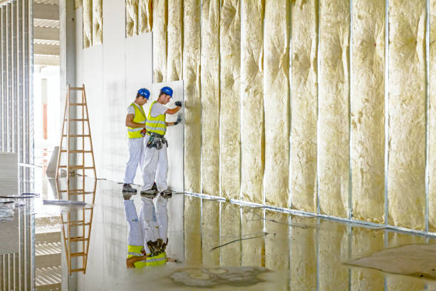 Best Crawl Space Insulation  in Coloma, MI